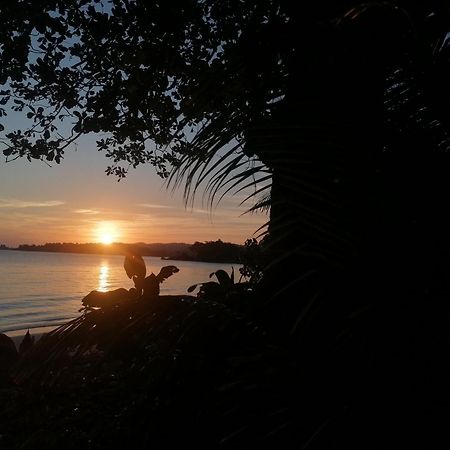 Port Antonio Brian'S Beach House מראה חיצוני תמונה