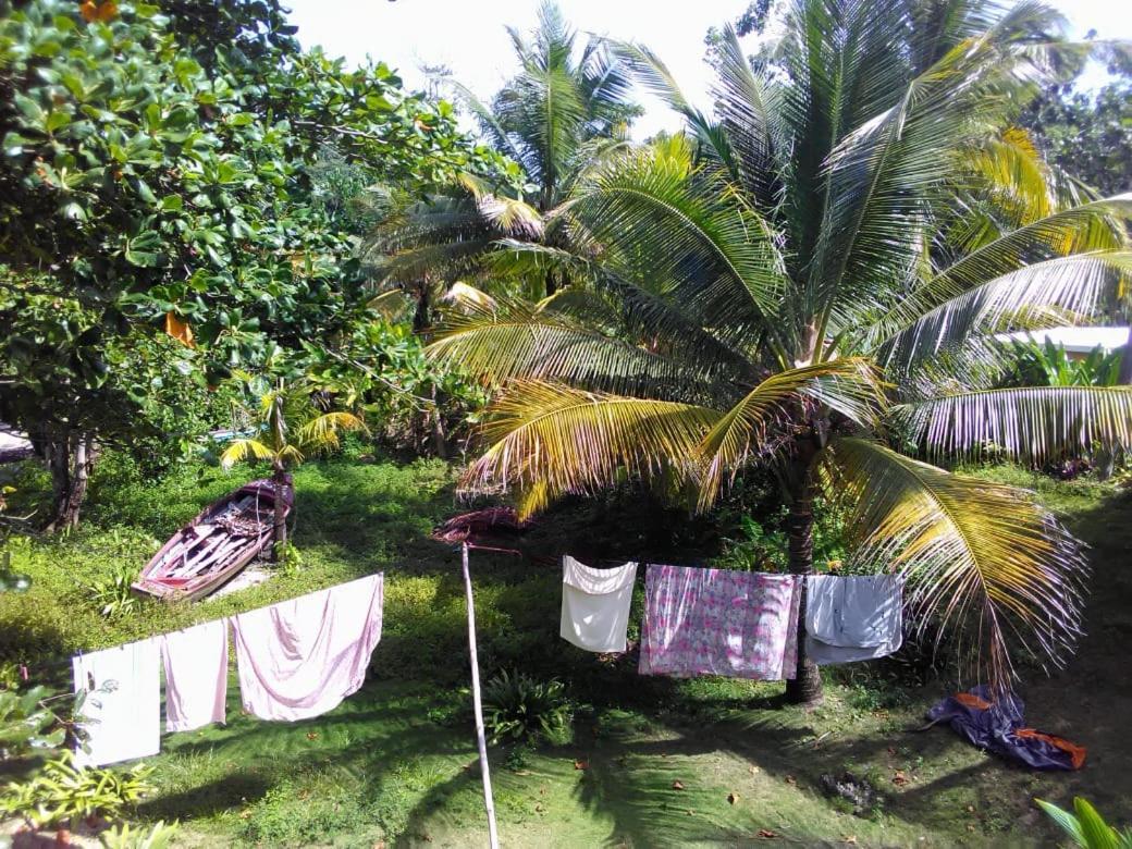 Port Antonio Brian'S Beach House מראה חיצוני תמונה