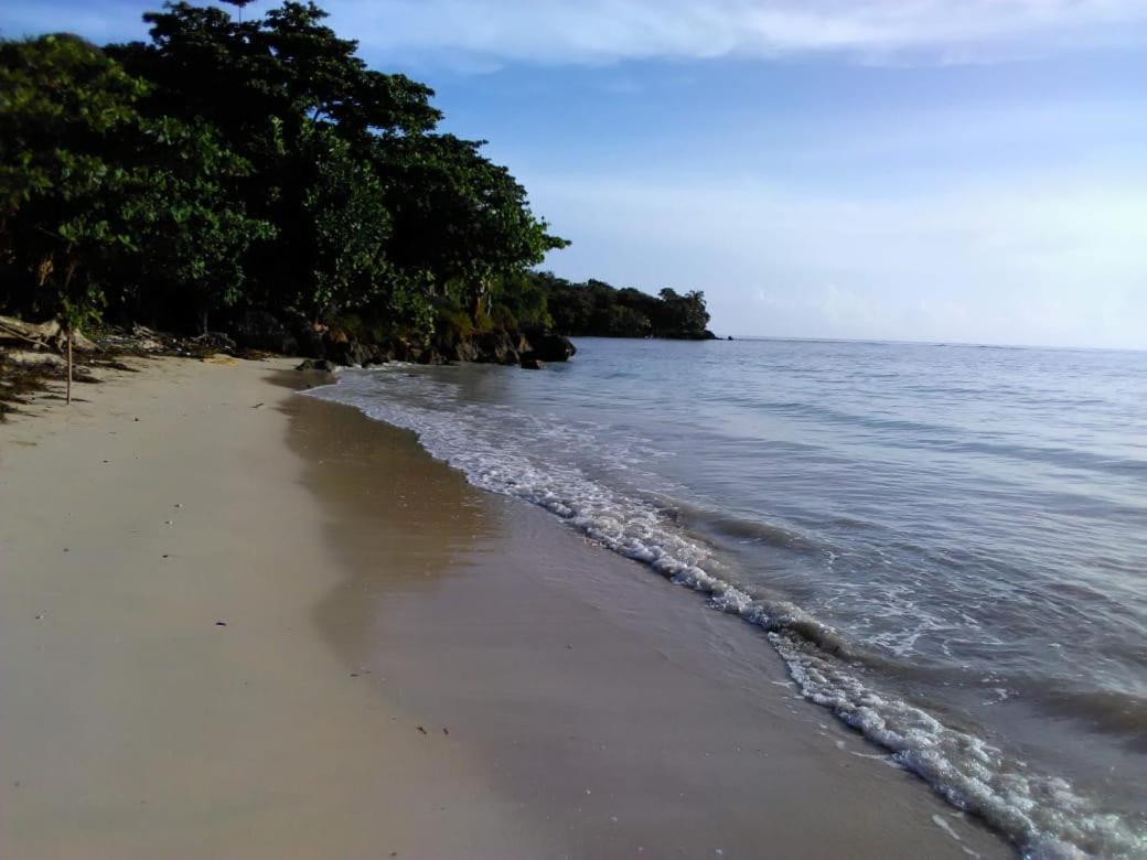Port Antonio Brian'S Beach House מראה חיצוני תמונה