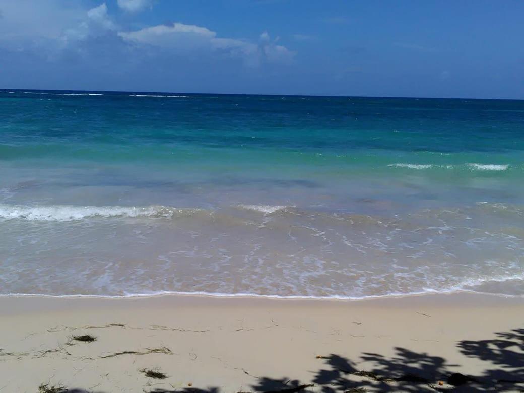 Port Antonio Brian'S Beach House מראה חיצוני תמונה