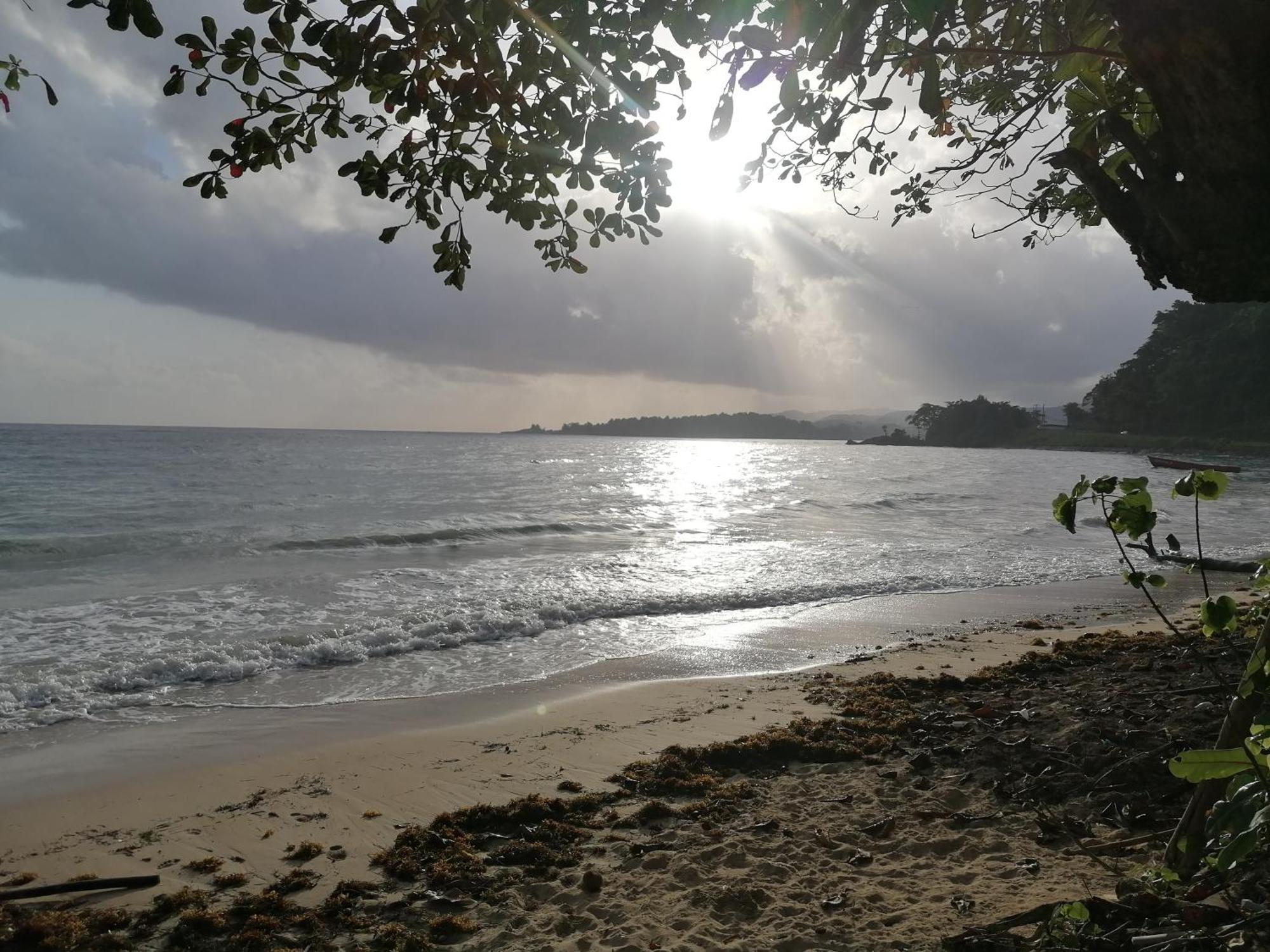 Port Antonio Brian'S Beach House מראה חיצוני תמונה