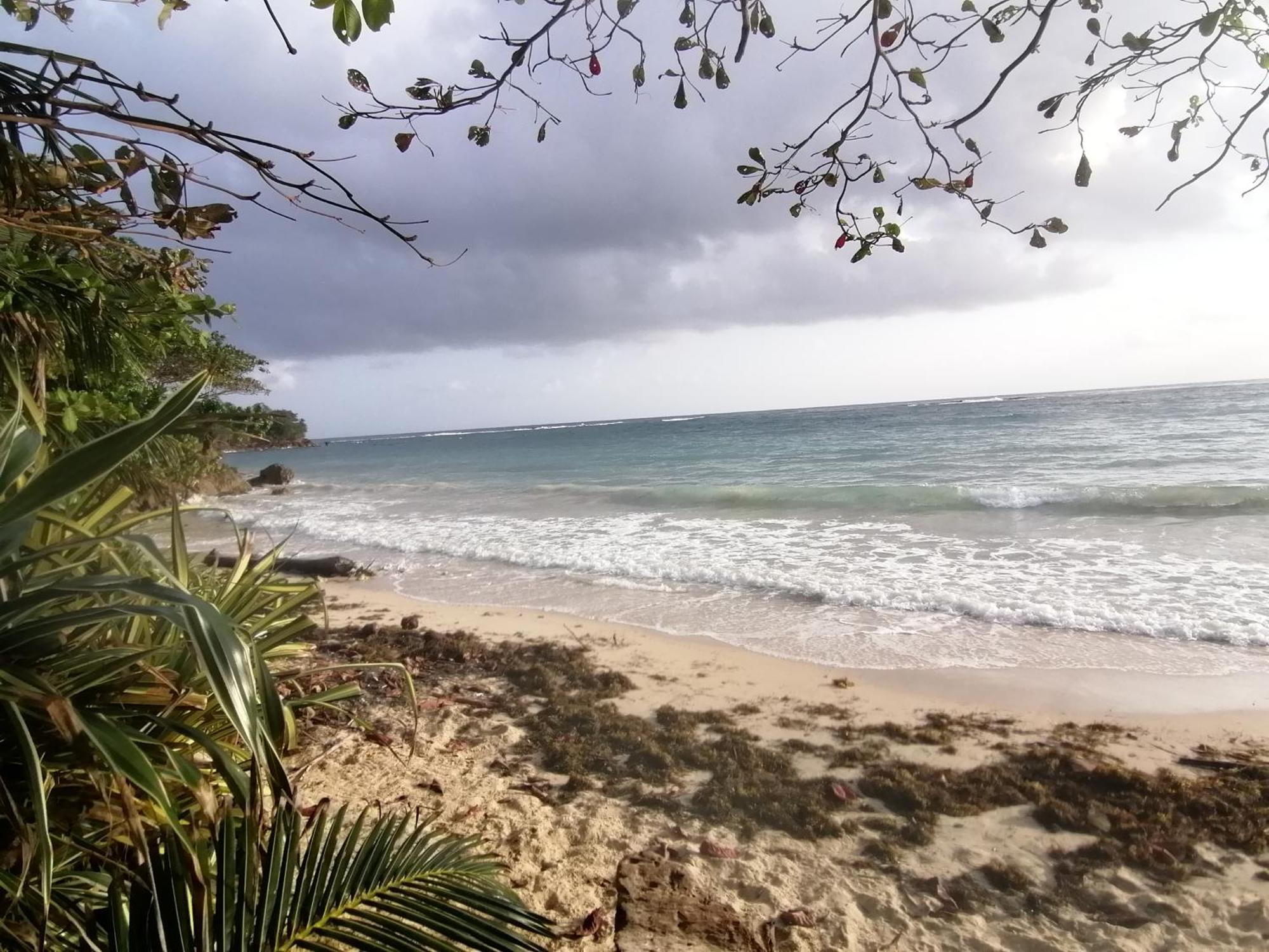 Port Antonio Brian'S Beach House מראה חיצוני תמונה