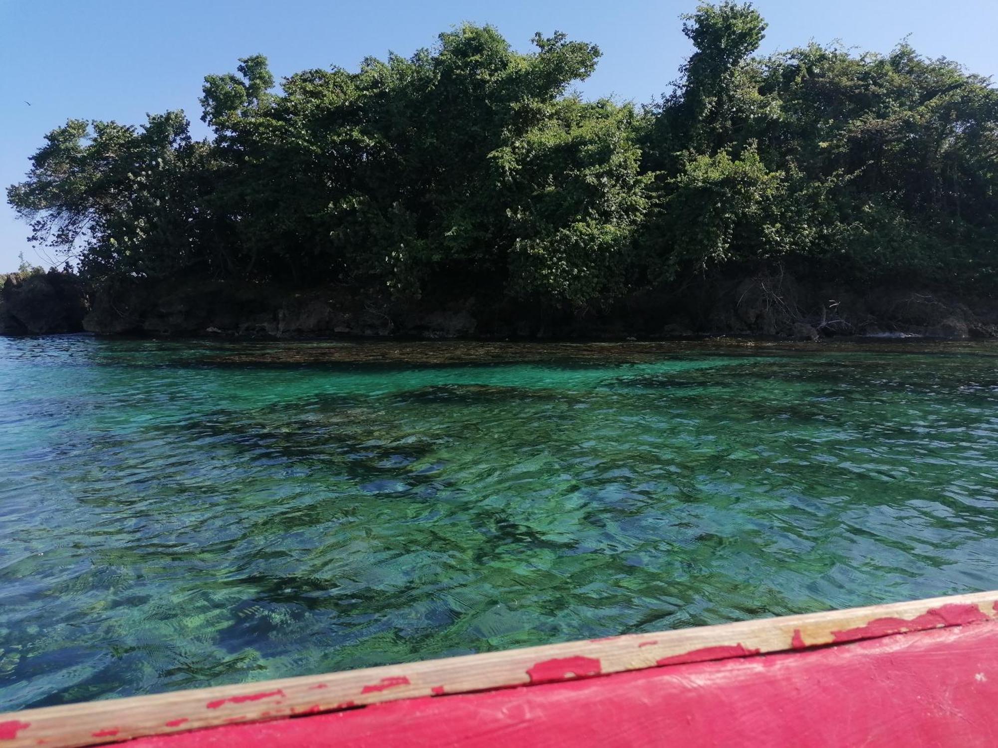 Port Antonio Brian'S Beach House מראה חיצוני תמונה