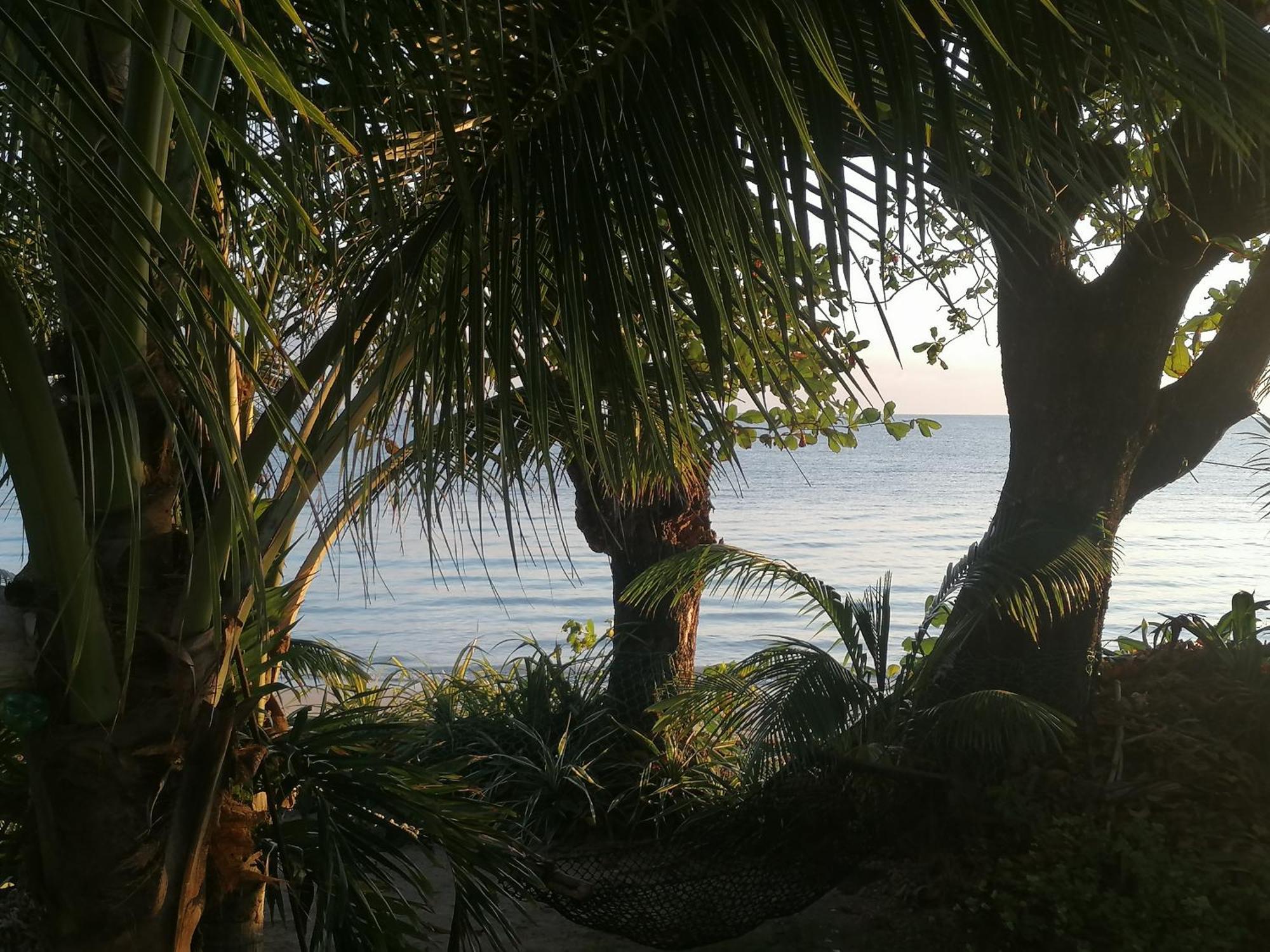 Port Antonio Brian'S Beach House מראה חיצוני תמונה