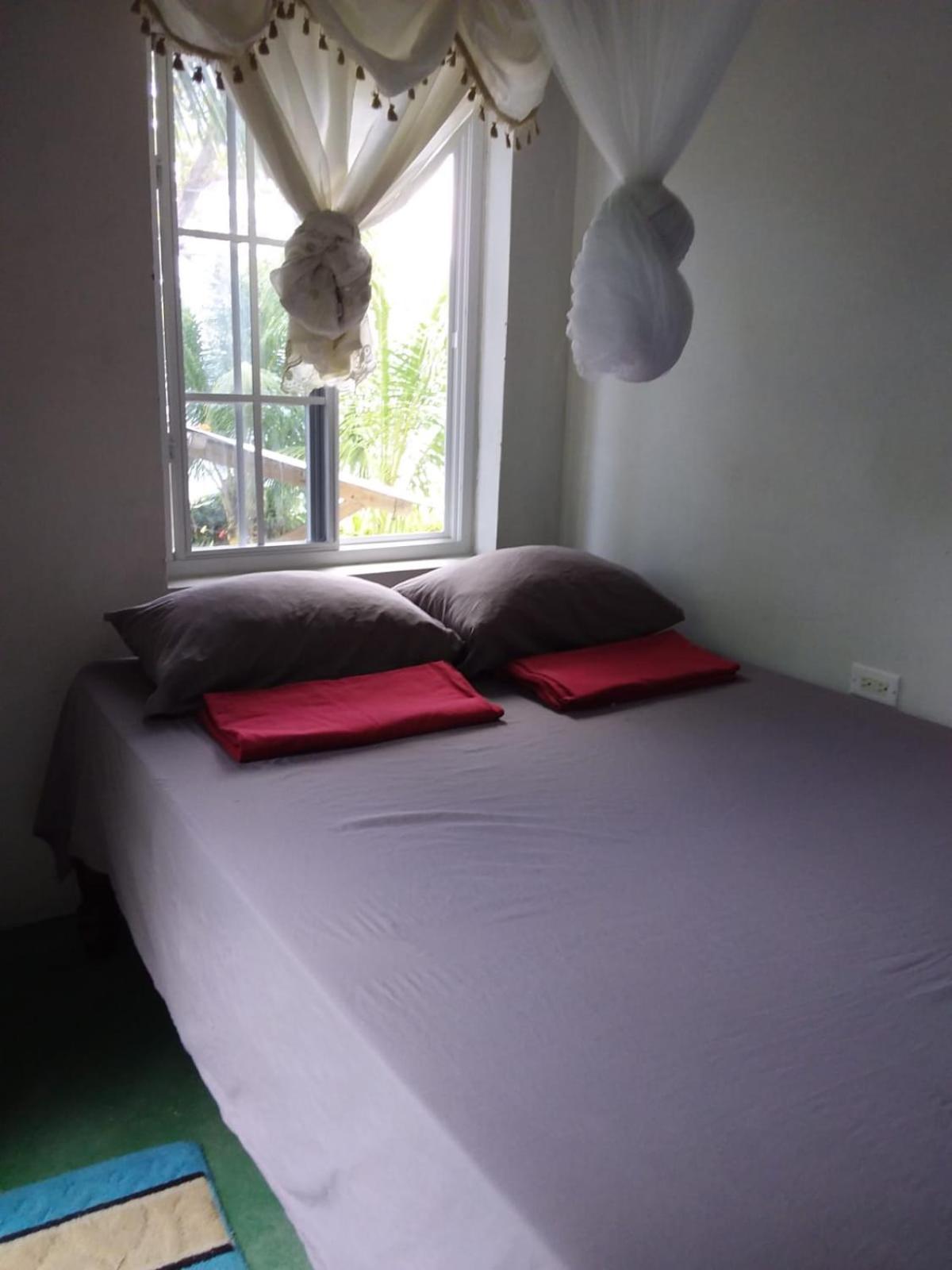 Port Antonio Brian'S Beach House מראה חיצוני תמונה