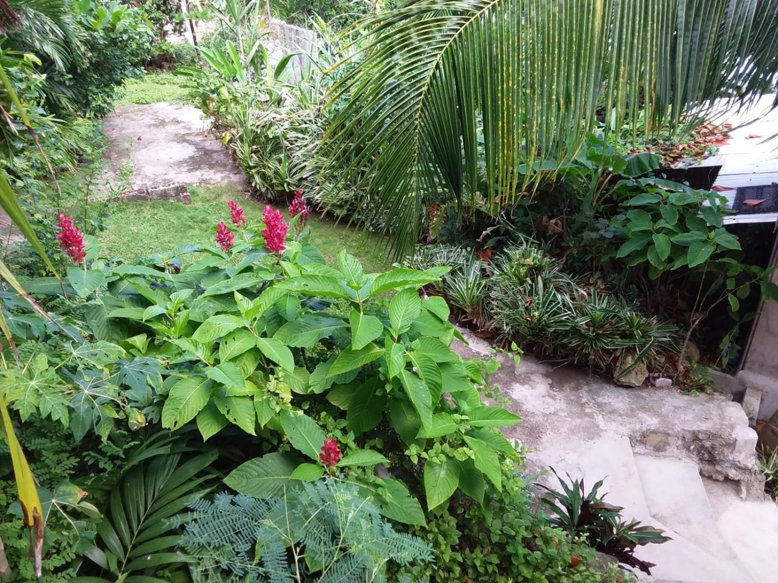 Port Antonio Brian'S Beach House מראה חיצוני תמונה
