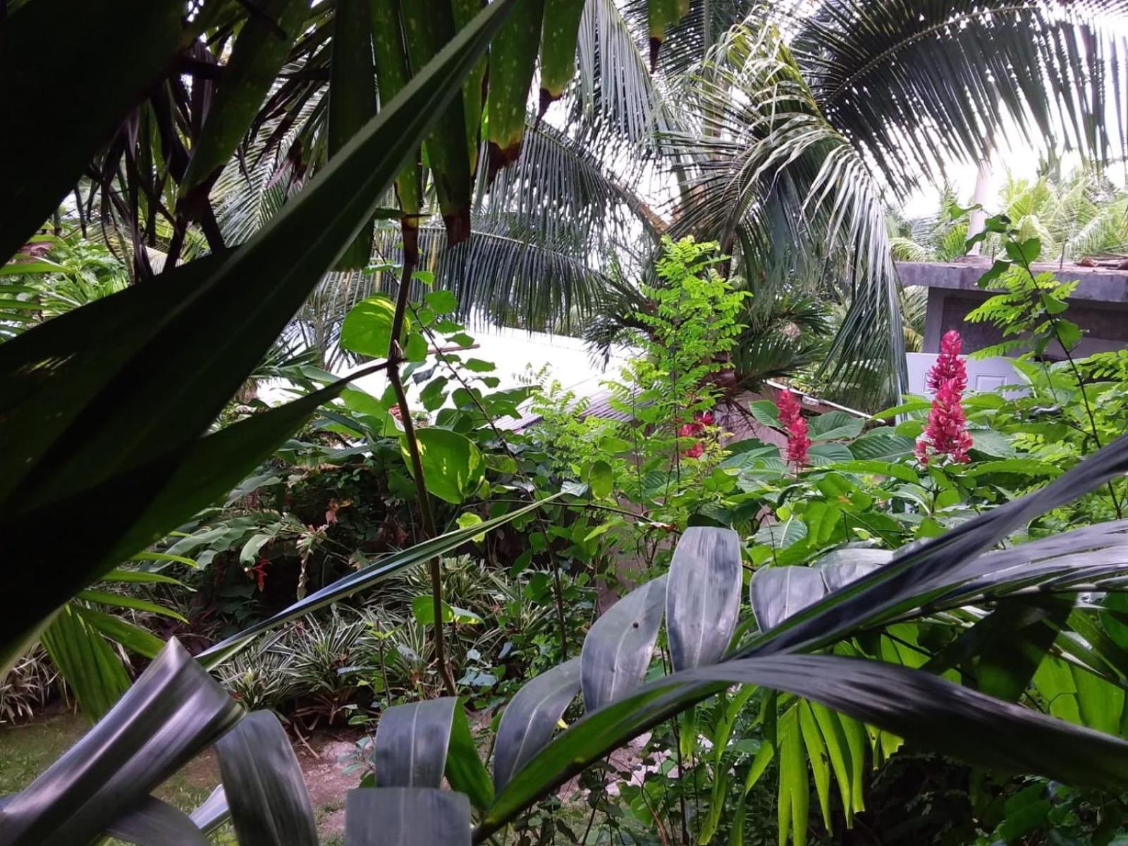 Port Antonio Brian'S Beach House מראה חיצוני תמונה