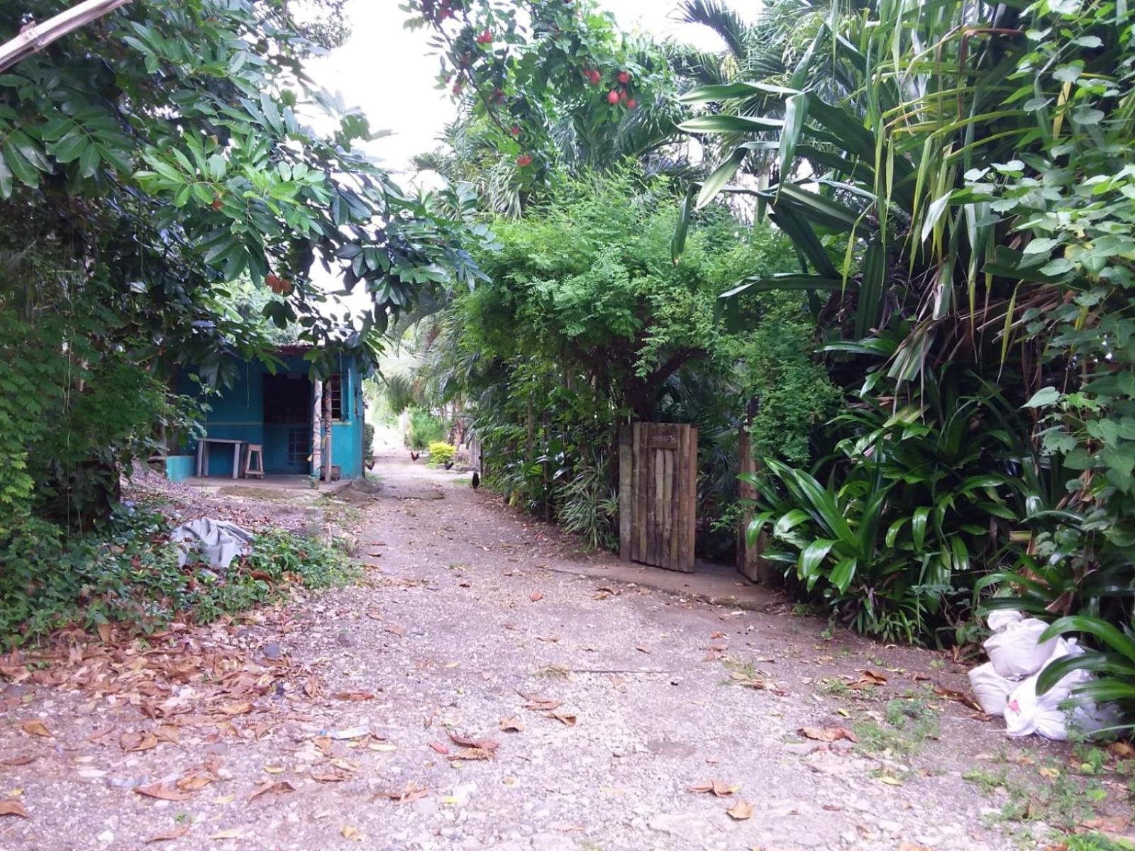 Port Antonio Brian'S Beach House מראה חיצוני תמונה