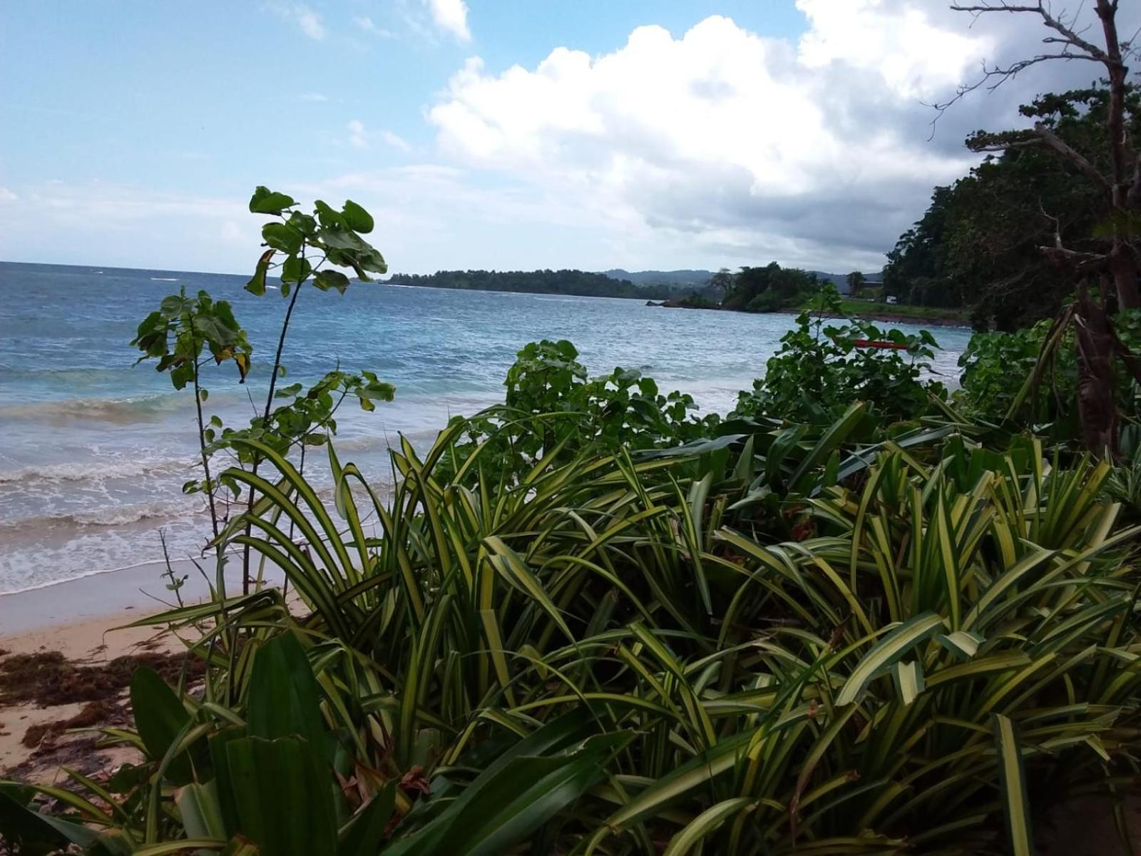 Port Antonio Brian'S Beach House מראה חיצוני תמונה