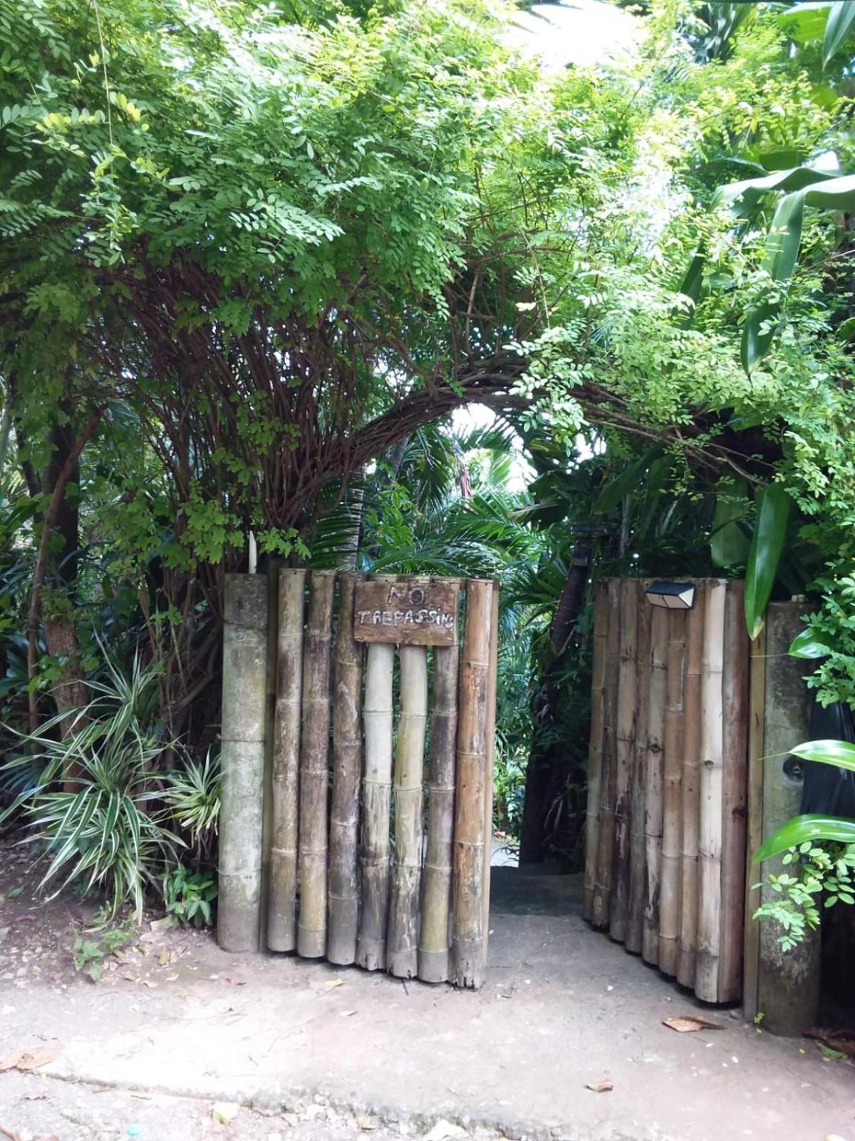 Port Antonio Brian'S Beach House מראה חיצוני תמונה