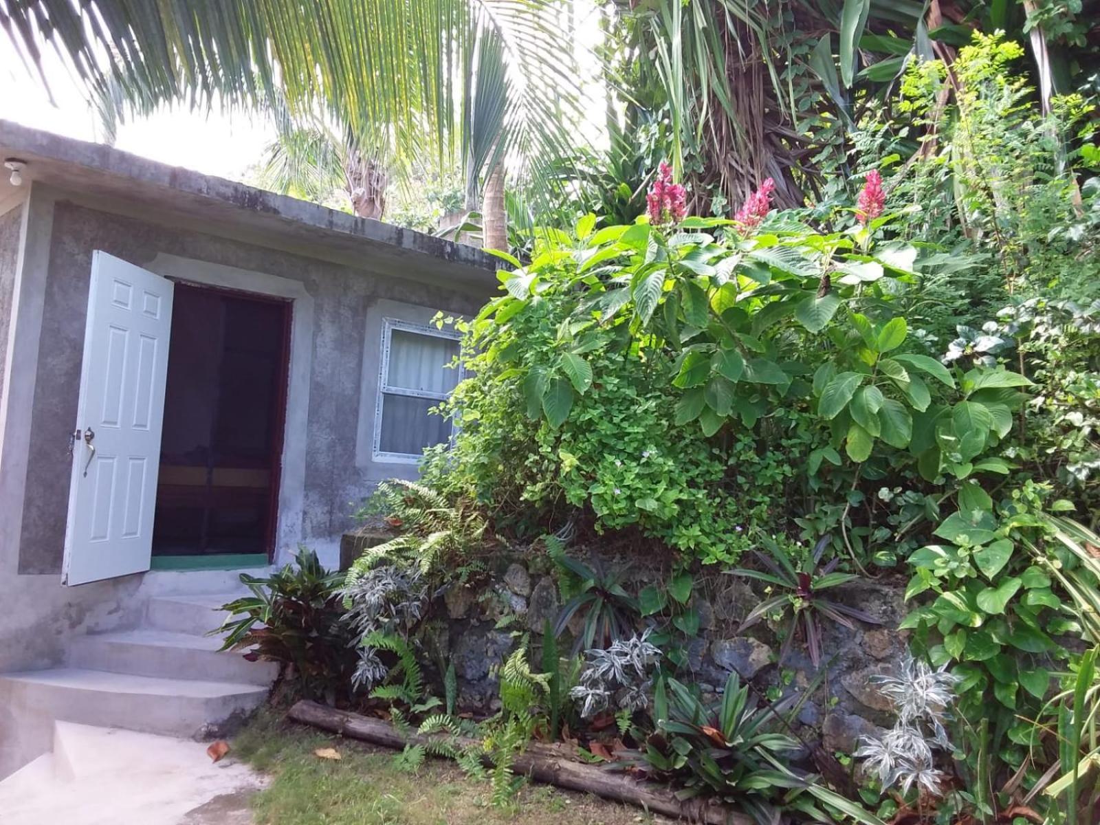 Port Antonio Brian'S Beach House מראה חיצוני תמונה