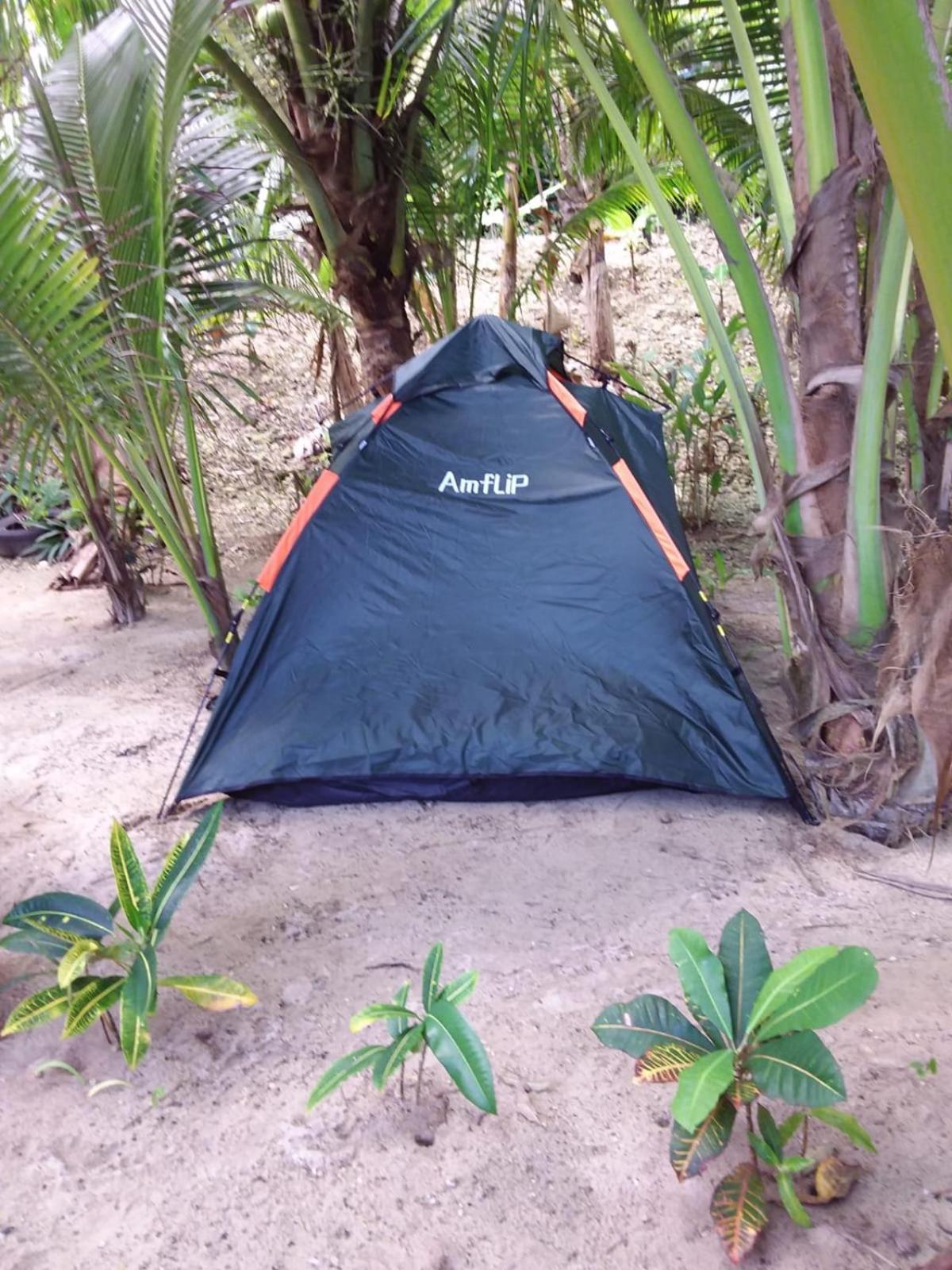 Port Antonio Brian'S Beach House מראה חיצוני תמונה
