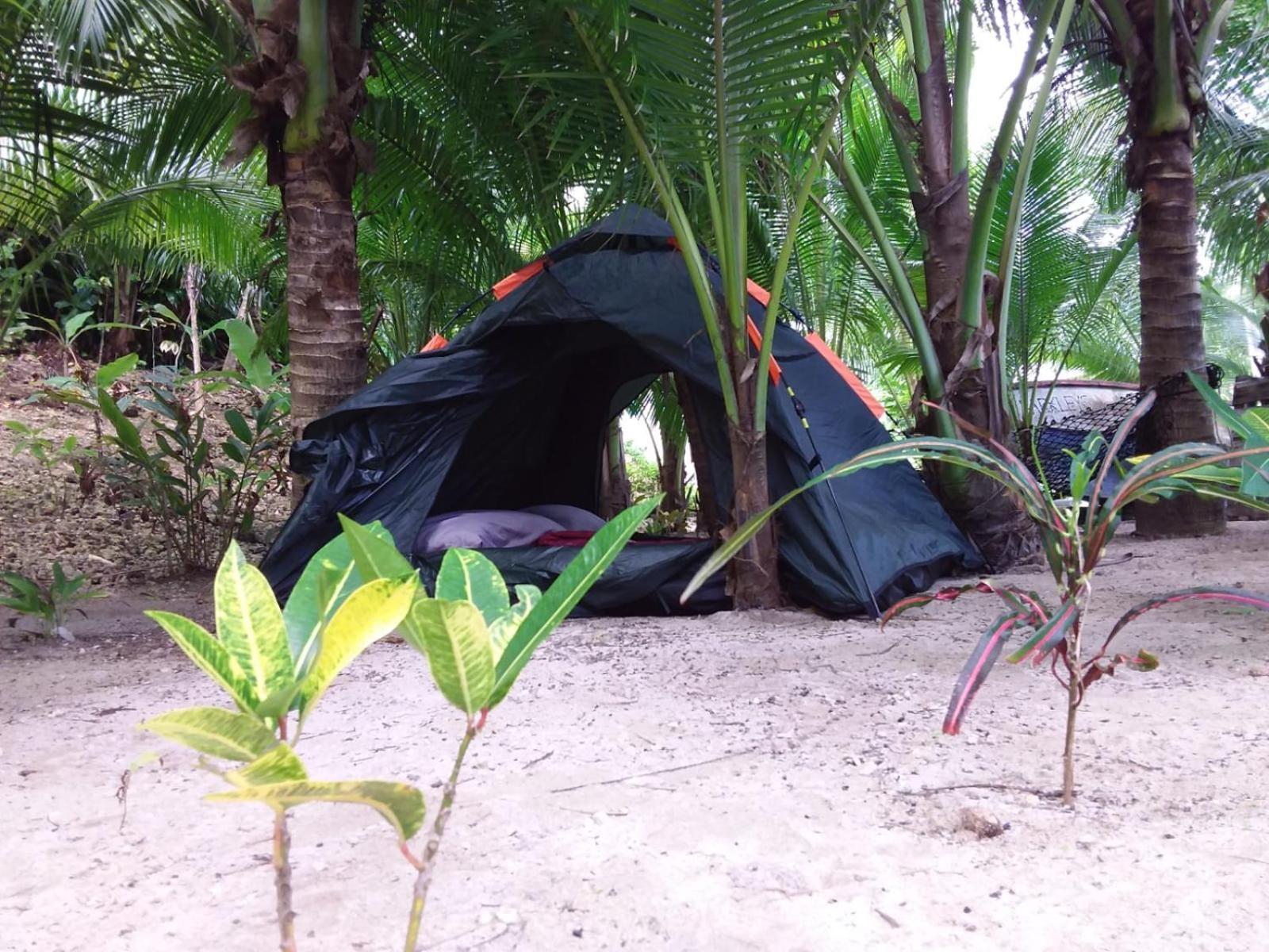 Port Antonio Brian'S Beach House מראה חיצוני תמונה
