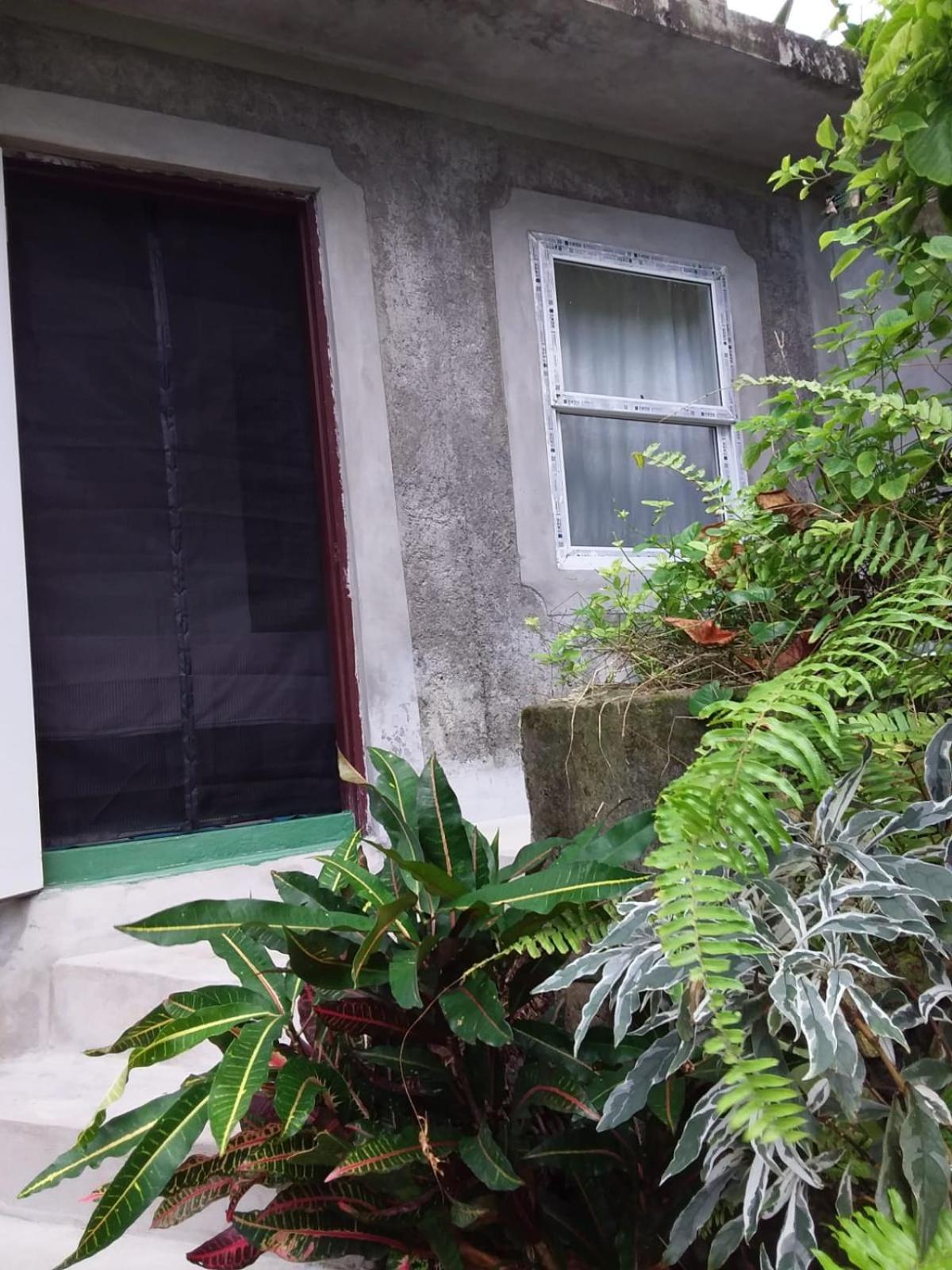 Port Antonio Brian'S Beach House מראה חיצוני תמונה