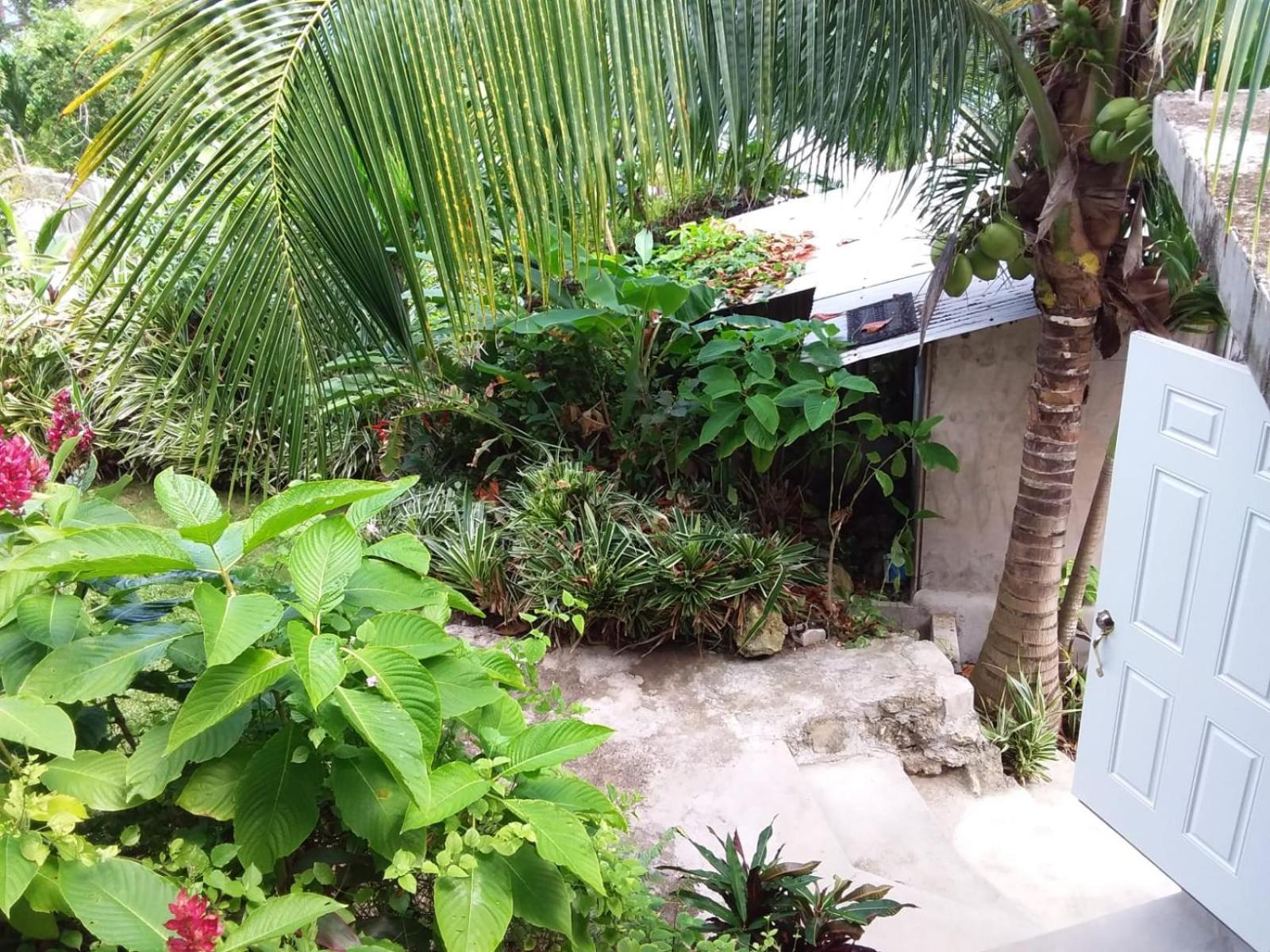 Port Antonio Brian'S Beach House מראה חיצוני תמונה