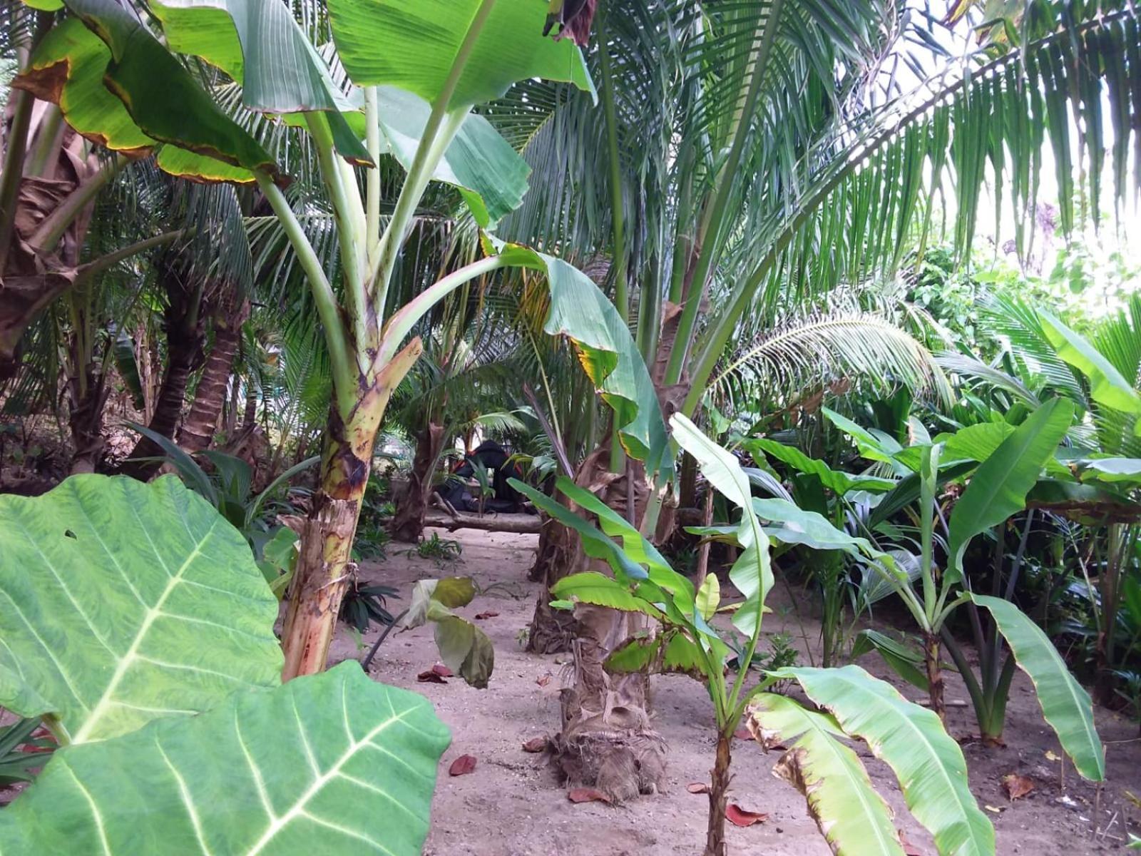 Port Antonio Brian'S Beach House מראה חיצוני תמונה